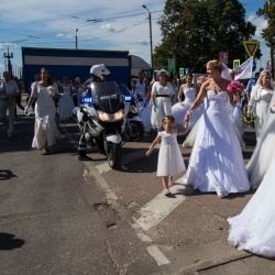 Līgavu parāde - 2016. Rīga.-