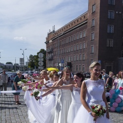 Līgavu parāde - 2016. Rīga.-