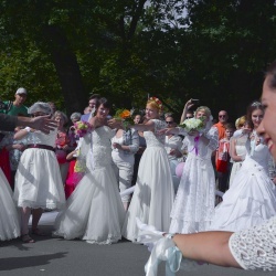 Līgavu parāde - 2016. Rīga.-