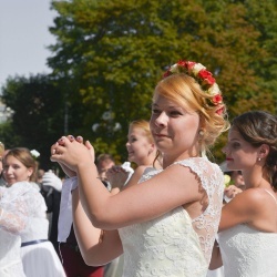 Līgavu parāde - 2016. Rīga.-