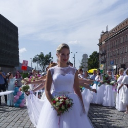 Līgavu parāde - 2016. Rīga.-