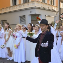 Līgavu parāde - 2016. Rīga.-