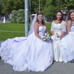 Līgavu parāde - 2016. Rīga.-