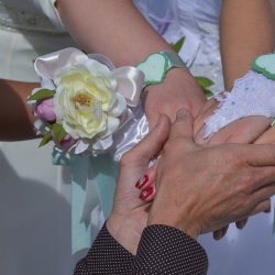 Līgavu parāde - 2016. Rīga.-