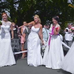 Līgavu parāde - 2016. Rīga.-