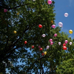 Līgavu parāde - 2016. Rīga.-