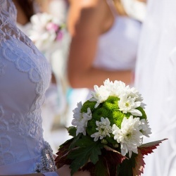 Līgavu parāde - 2016. Rīga.-