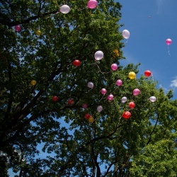 Līgavu parāde - 2016. Rīga.-