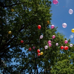 Līgavu parāde - 2016. Rīga.-