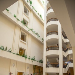 Līgavu parāde - 2016. Rīga.-