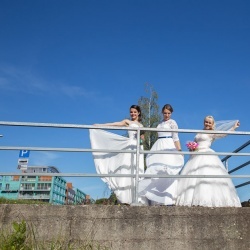 Līgavu parāde - 2016. Rīga.-