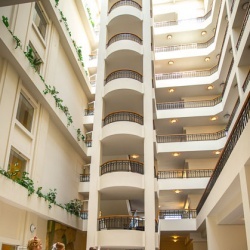 Līgavu parāde - 2016. Rīga.-