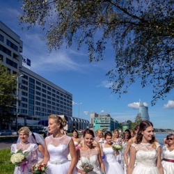 Līgavu parāde - 2016. Rīga.-