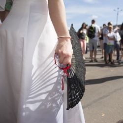 Līgavu parāde - 2016. Rīga.-