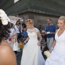 Līgavu parāde - 2016. Rīga.-