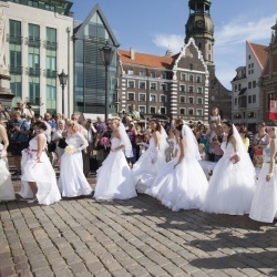 Līgavu parāde - 2016. Rīga.-