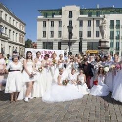 Līgavu parāde - 2016. Rīga.-