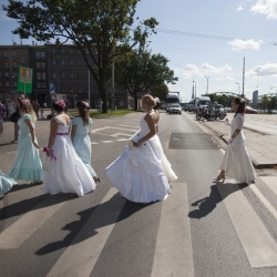 Līgavu parāde - 2016. Rīga.-