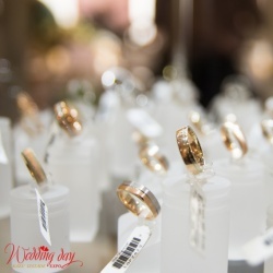 Wedding Day EXPO Latvija 2016/1-