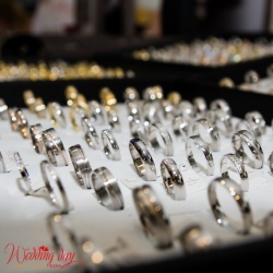 Wedding Day EXPO Latvija 2016/1-