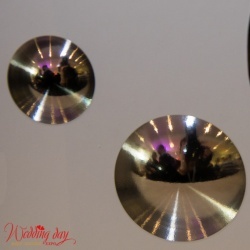 Wedding Day EXPO Latvija 2016/1-