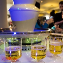 Wedding Day EXPO Latvija 2016/1-