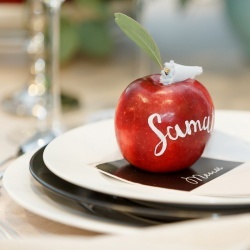 Wedding Day EXPO Latvija 2016/2-