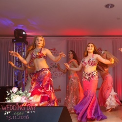 Wedding Day EXPO Latvija 2016/2-