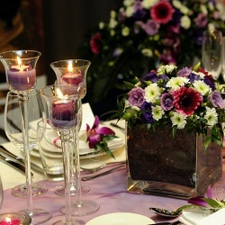 Wedding Day EXPO - 2014-