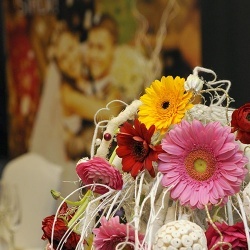 Wedding Day EXPO - 2014-