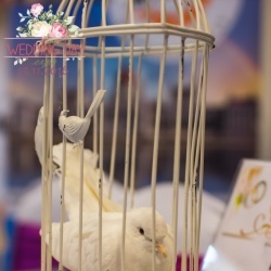 Wedding Day EXPO Latvija 2016/2-