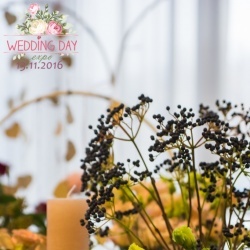 Wedding Day EXPO Latvija 2016/2-