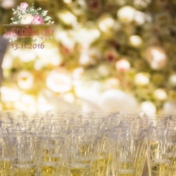 Wedding Day EXPO Latvija 2016/2-