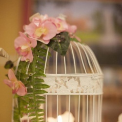 Wedding Day EXPO Latvija 2017-