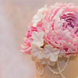 Wedding Day EXPO  - 2015/1-