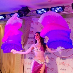 Wedding Day EXPO  - 2015/1-