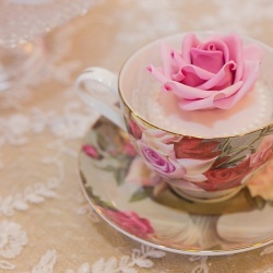 Wedding Day EXPO  - 2015/1-