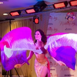 Wedding Day EXPO  - 2015/1-