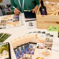 Wedding Day EXPO  - 2015/1-