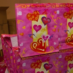 Wedding Day EXPO  - 2015/1-