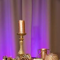 Wedding Day EXPO Latvija 2020-