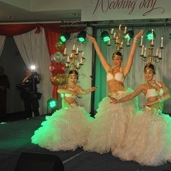 Wedding Day EXPO - 2014-