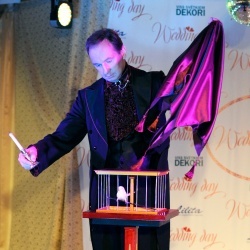 Wedding Day EXPO  - 2015/1-