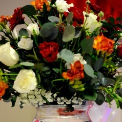 Wedding Day EXPO  - 2015/1-