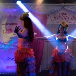 Wedding Day EXPO 2015/2-