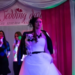 Wedding Day EXPO 2015/2-