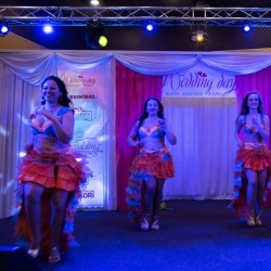 Wedding Day EXPO 2015/2-