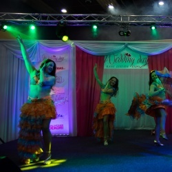 Wedding Day EXPO 2015/2-