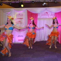 Wedding Day EXPO 2015/2-