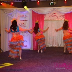 Wedding Day EXPO 2015/2-